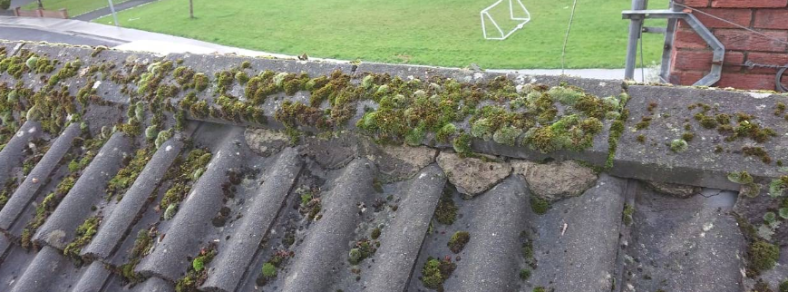 Roofing and guttering project
